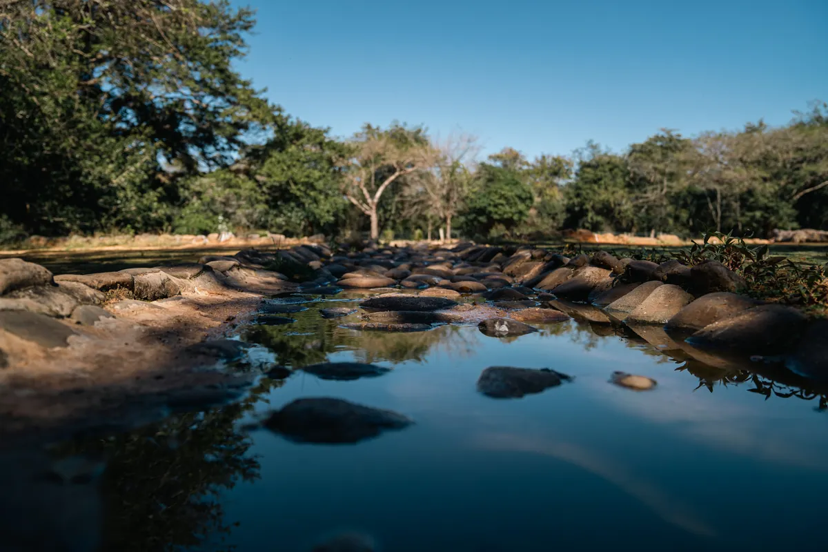 Water reflecting the sky between stones and trees