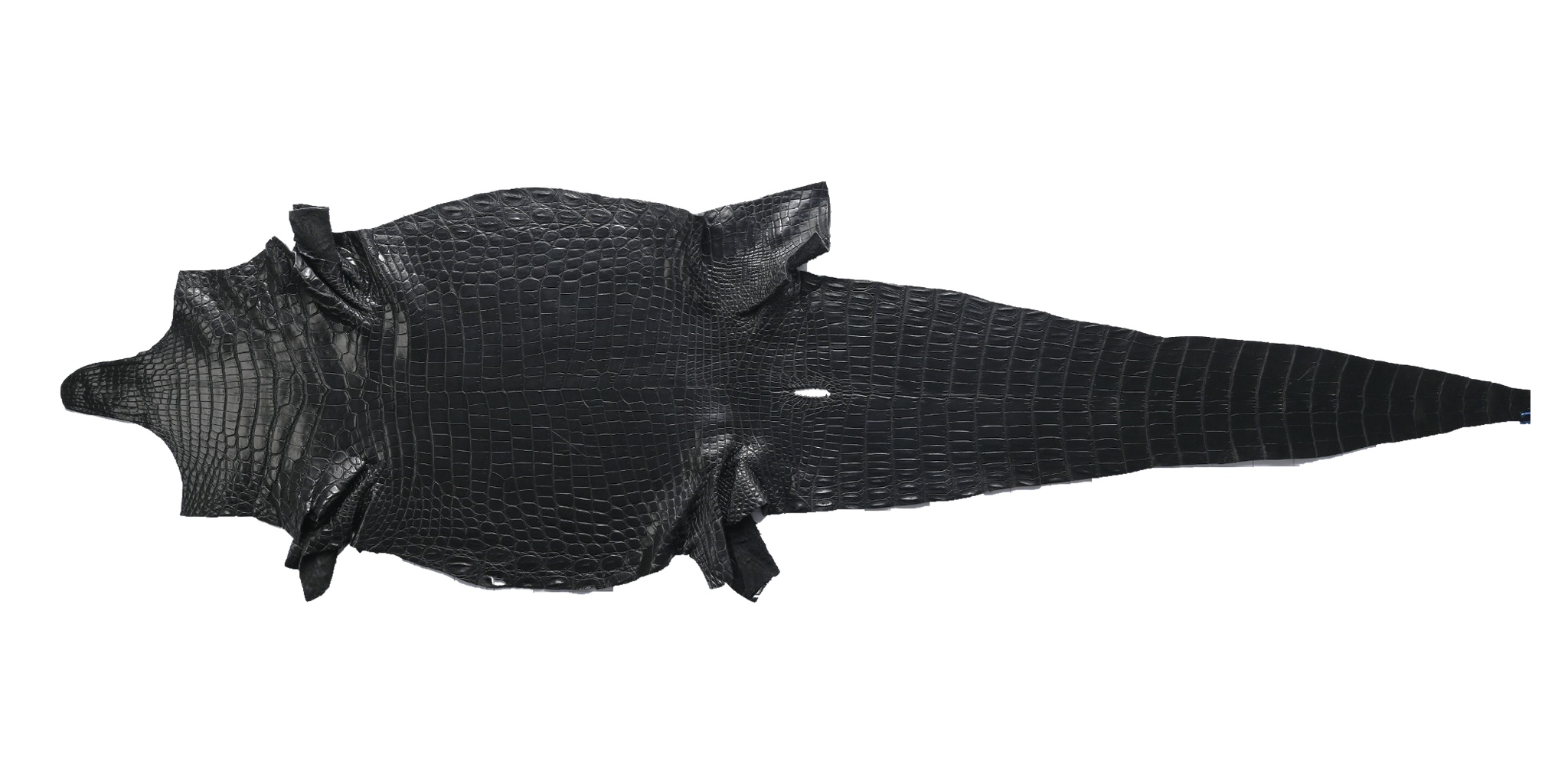 A full black crocodile skin photographed flat