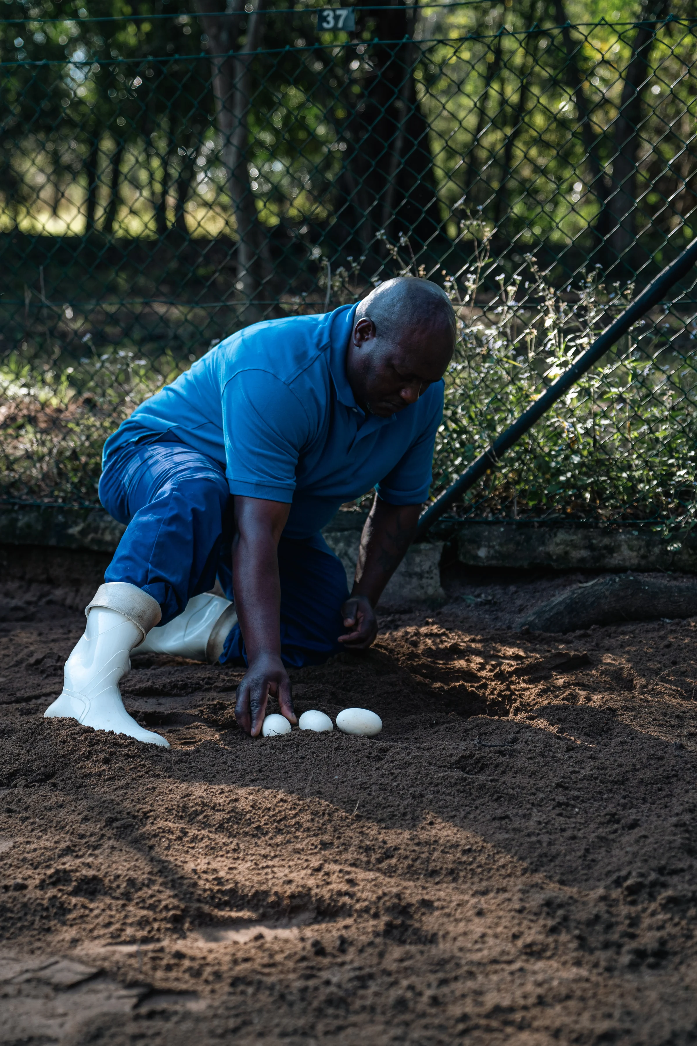 A farm worker kneels beside three eggs in sand