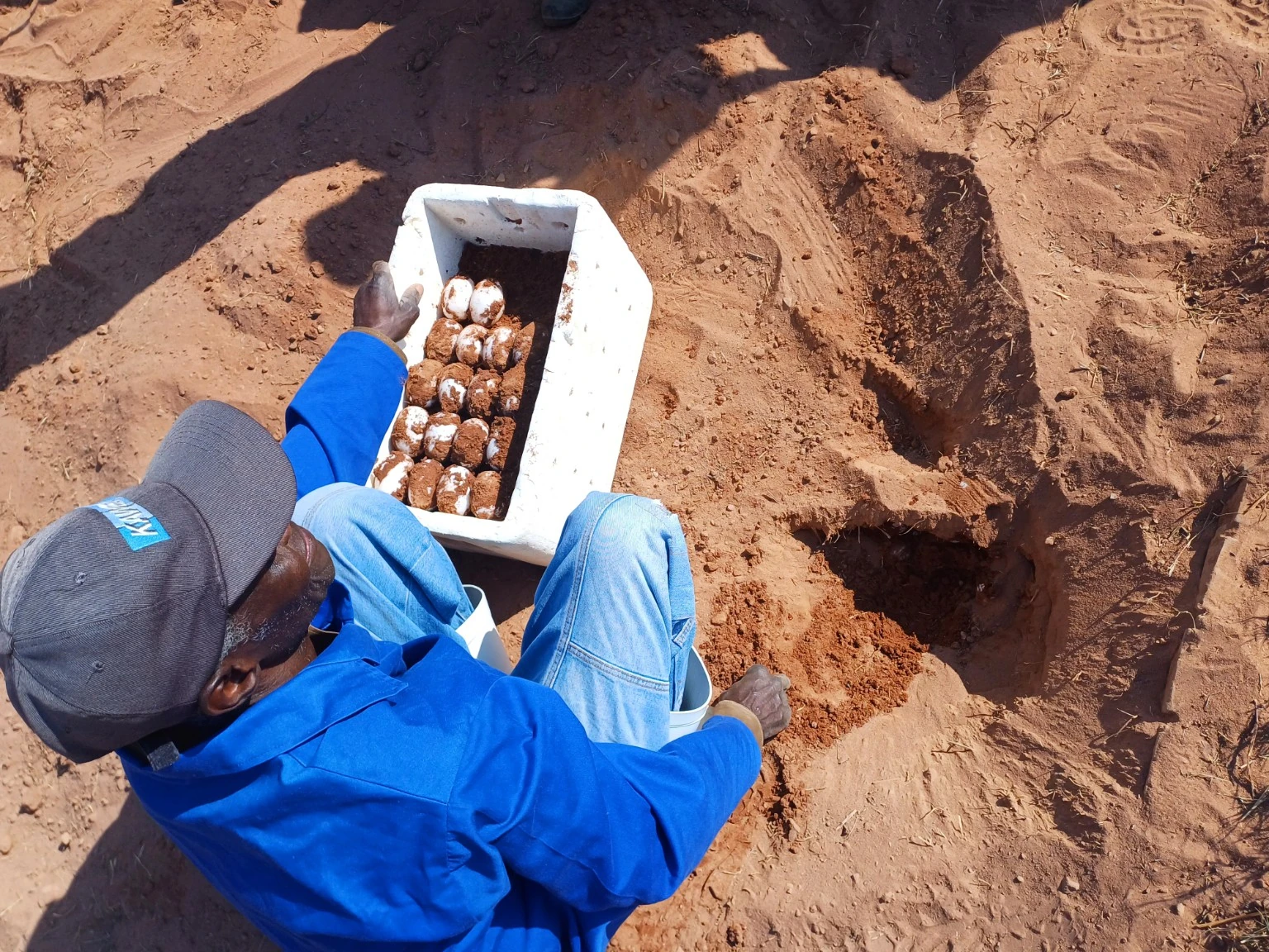 Person in blue seated beside a box of eggs and a dug hole in sand