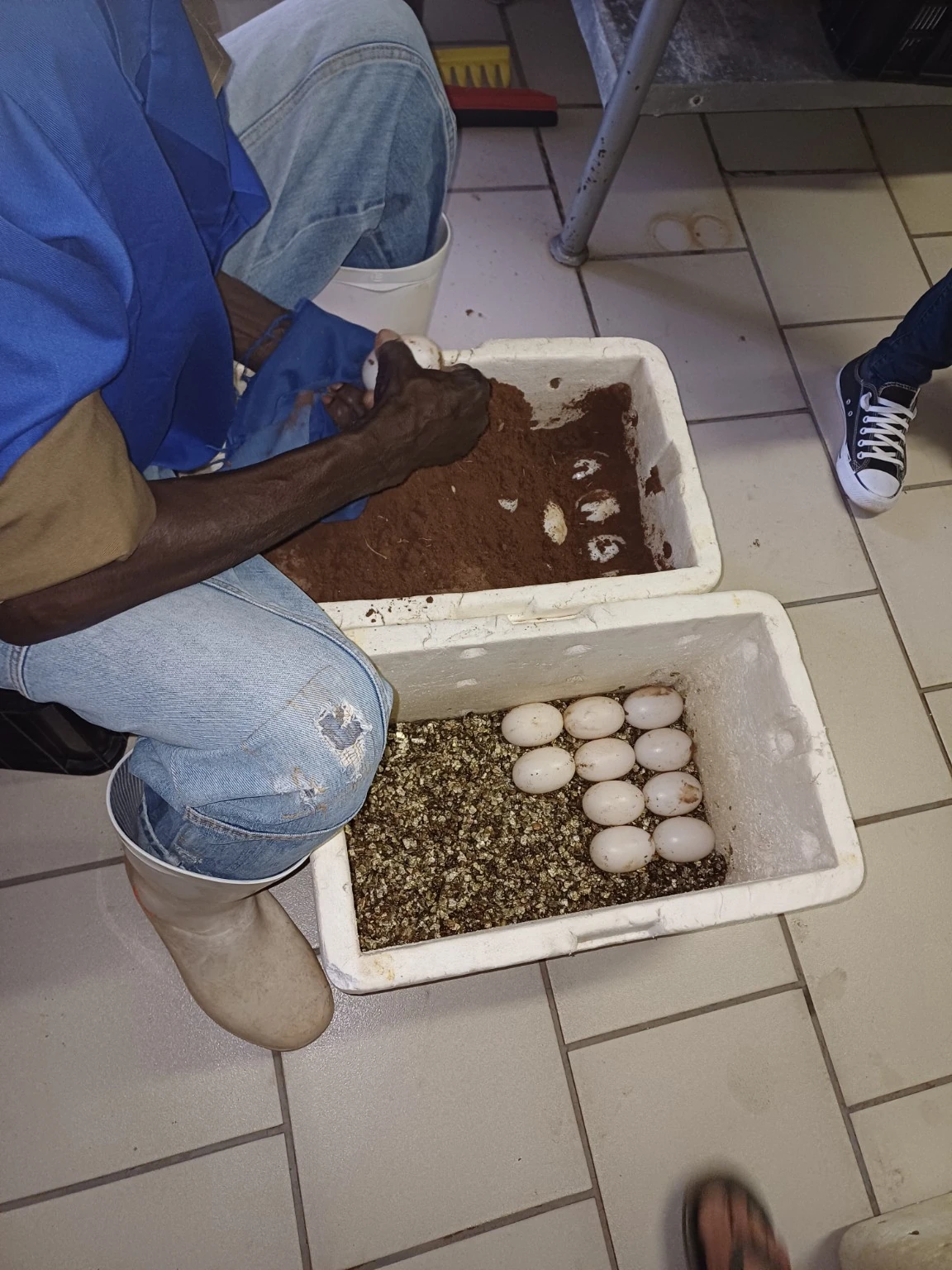 Eggs in two open white boxes on a tiled floor while a person handles one egg