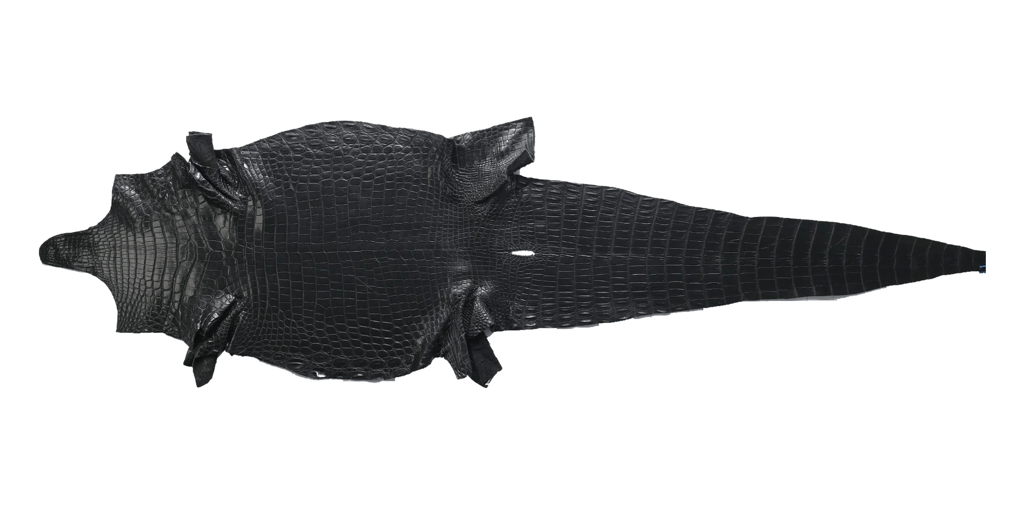 Black crocodile skin laid flat, tail extending to the right